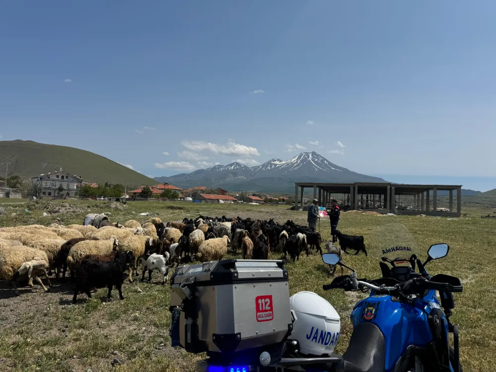 Aksaray İl Jandarma Komutanlığı, Kurban Bayramı Öncesi Vatandaşı Uyardı
