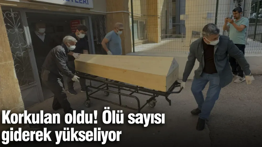 Korkulan oldu, kene felaketi yeniden hayat buldu! 