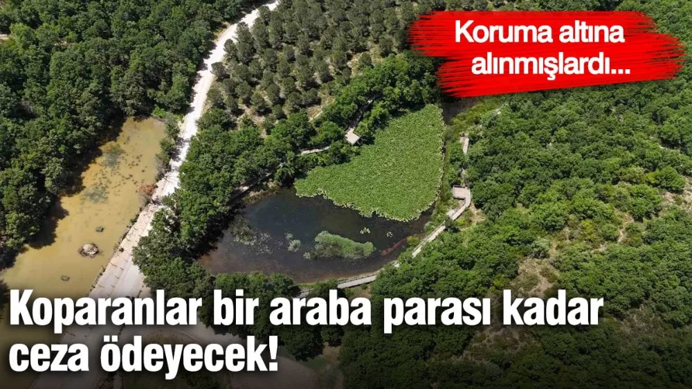 Koparan bir araba parası kadar ceza ödeyecek! 