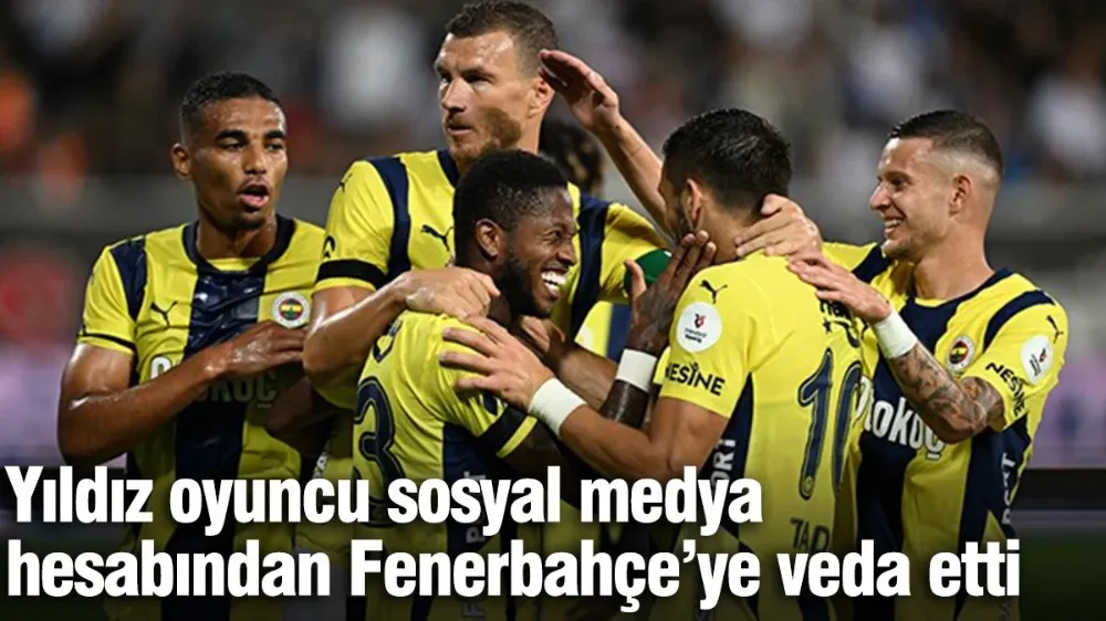 Edin Dzeko, Fenerbahçe
