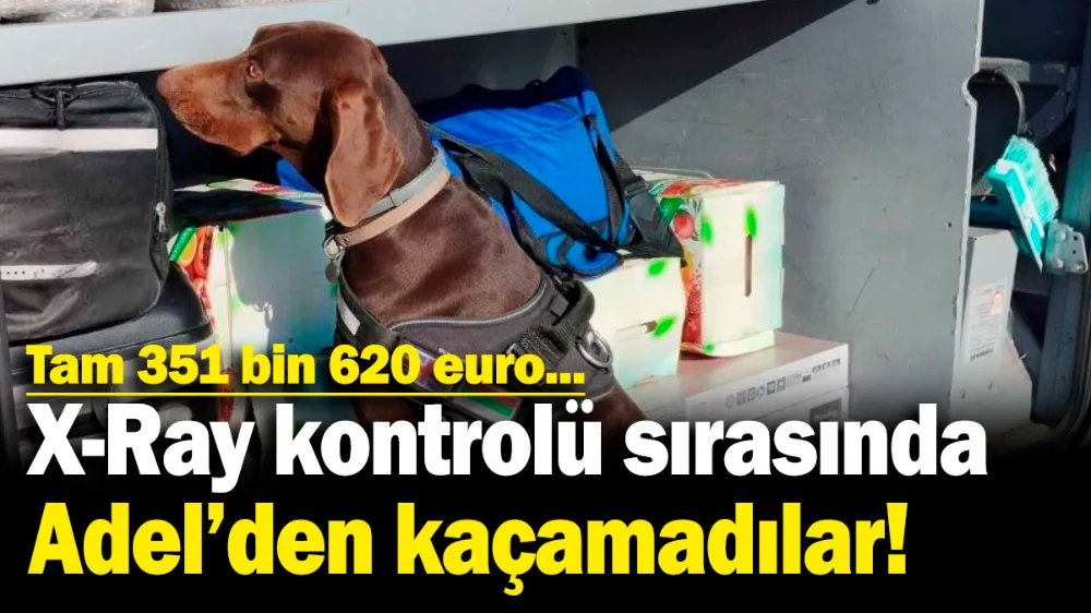 X-Ray kontrolü sırasında Adel