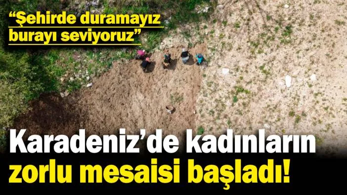 Karadeniz