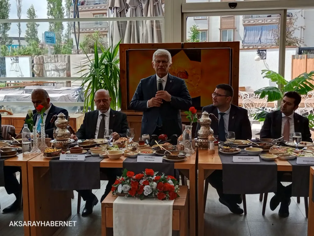 Veteriner Hekimlerden Sokak Hayvanları İçin Acil Eylem Çağrısı