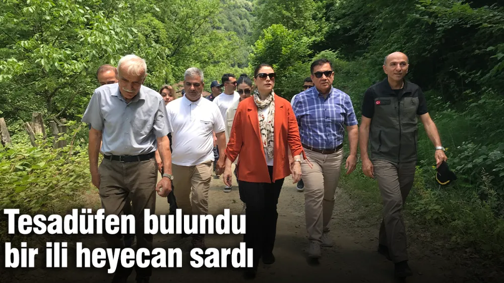 Tesadüfen bulundu bir ili heyecan sardı