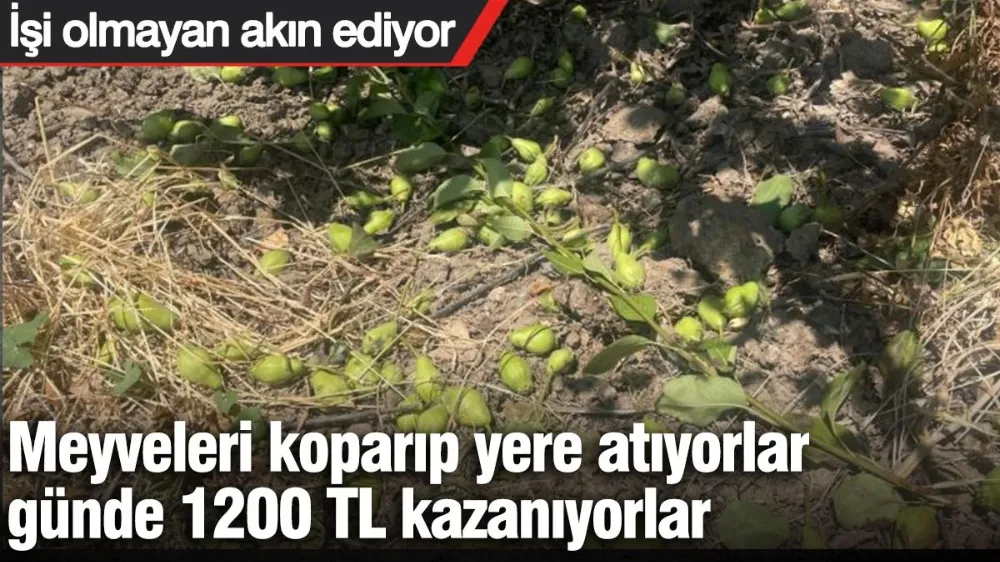  İşi olmayan akın ediyor