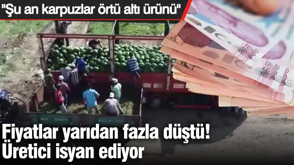 Fiyatlar yarıdan fazla düştü, üretici isyan ediyor!