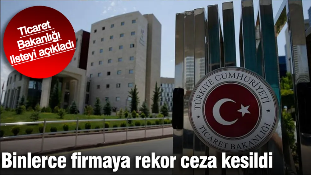 Binlerce firmaya rekor ceza kesildi