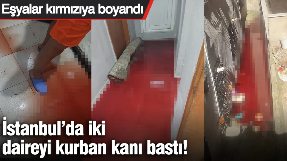 İstanbul’da iki daireyi kurban kanı bastı! 