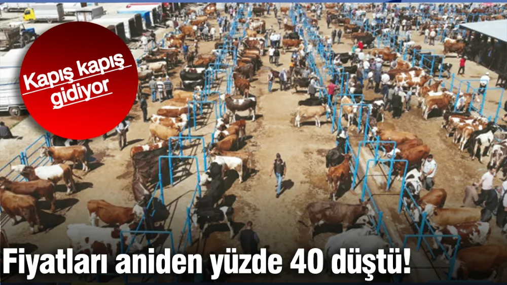 Fiyatları aniden yüzde 40 düştü: Kapış kapış gidiyor!