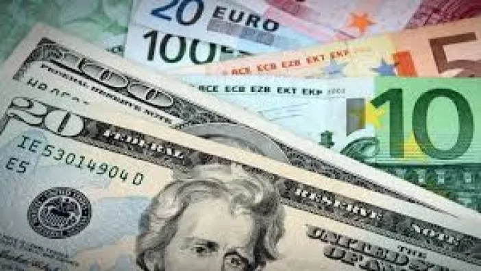 Dolar ve euroda son durum ne? 
