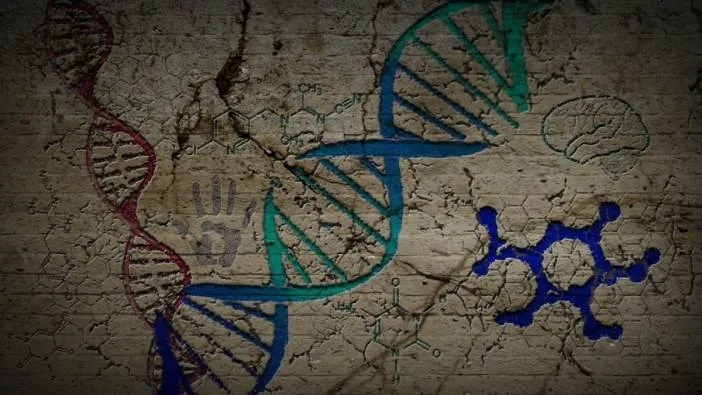Bilim adamları insan DNA