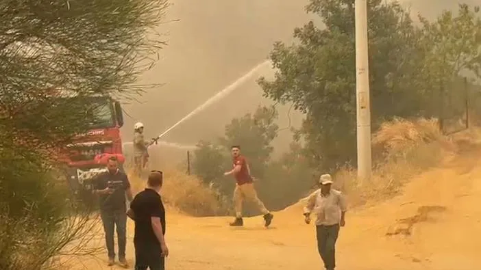 İzmir’deki yangınların nedeni resmen açıklandı