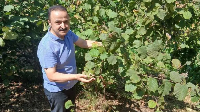 MHP’li Şanlıtürk’ten kritik uyarı