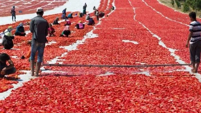 Siverek’te üretiliyor dünyaya ihraç ediliyor... 