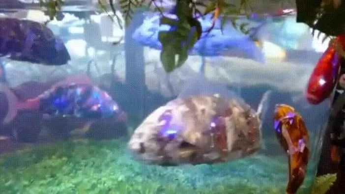 Japonya’dan okyanusları kurtaran robot balık devrimi