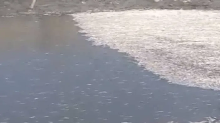 Hatay’da balık ölümleri yaşandı